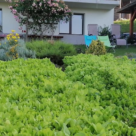 Apartma Na Ravnicah Cerkno Bagian luar foto