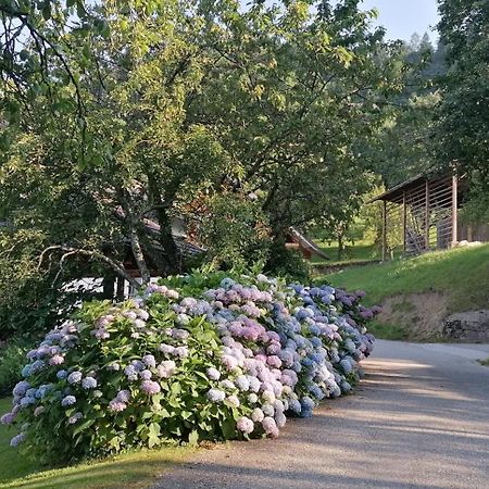 Apartma Na Ravnicah Cerkno Bagian luar foto