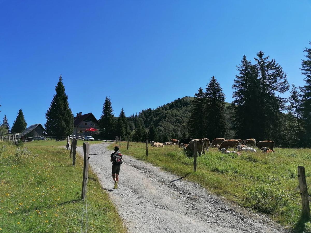 Apartma Na Ravnicah Cerkno Bagian luar foto