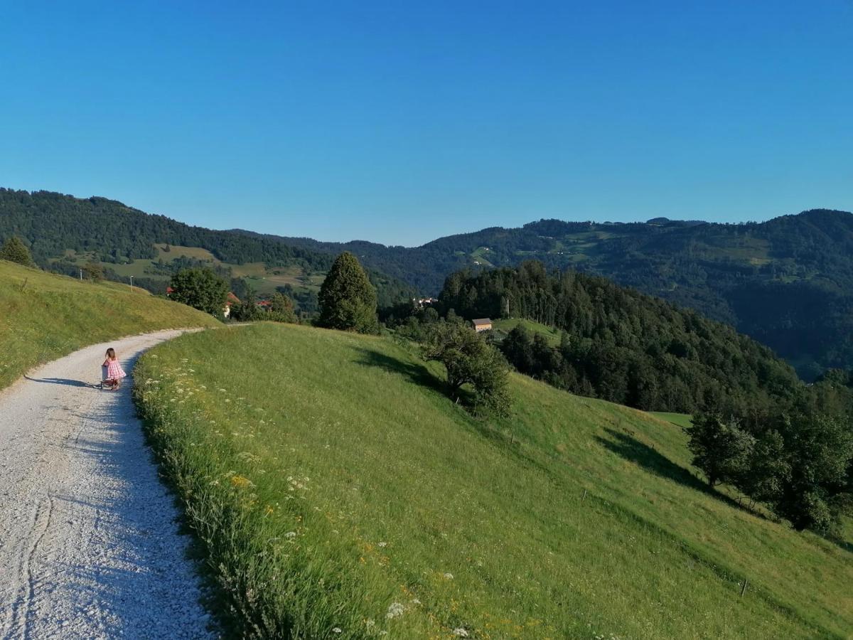 Apartma Na Ravnicah Cerkno Bagian luar foto