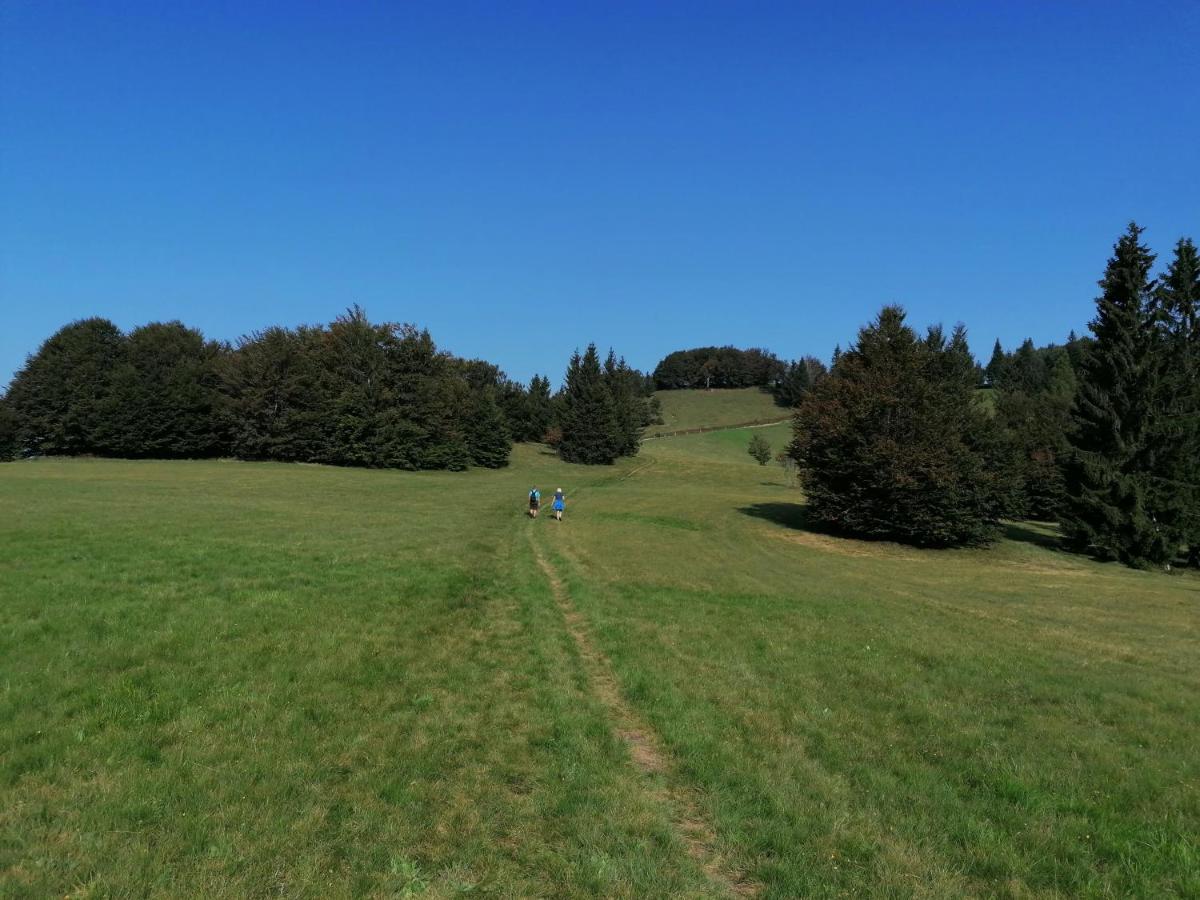 Apartma Na Ravnicah Cerkno Bagian luar foto