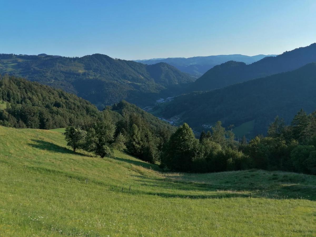 Apartma Na Ravnicah Cerkno Bagian luar foto