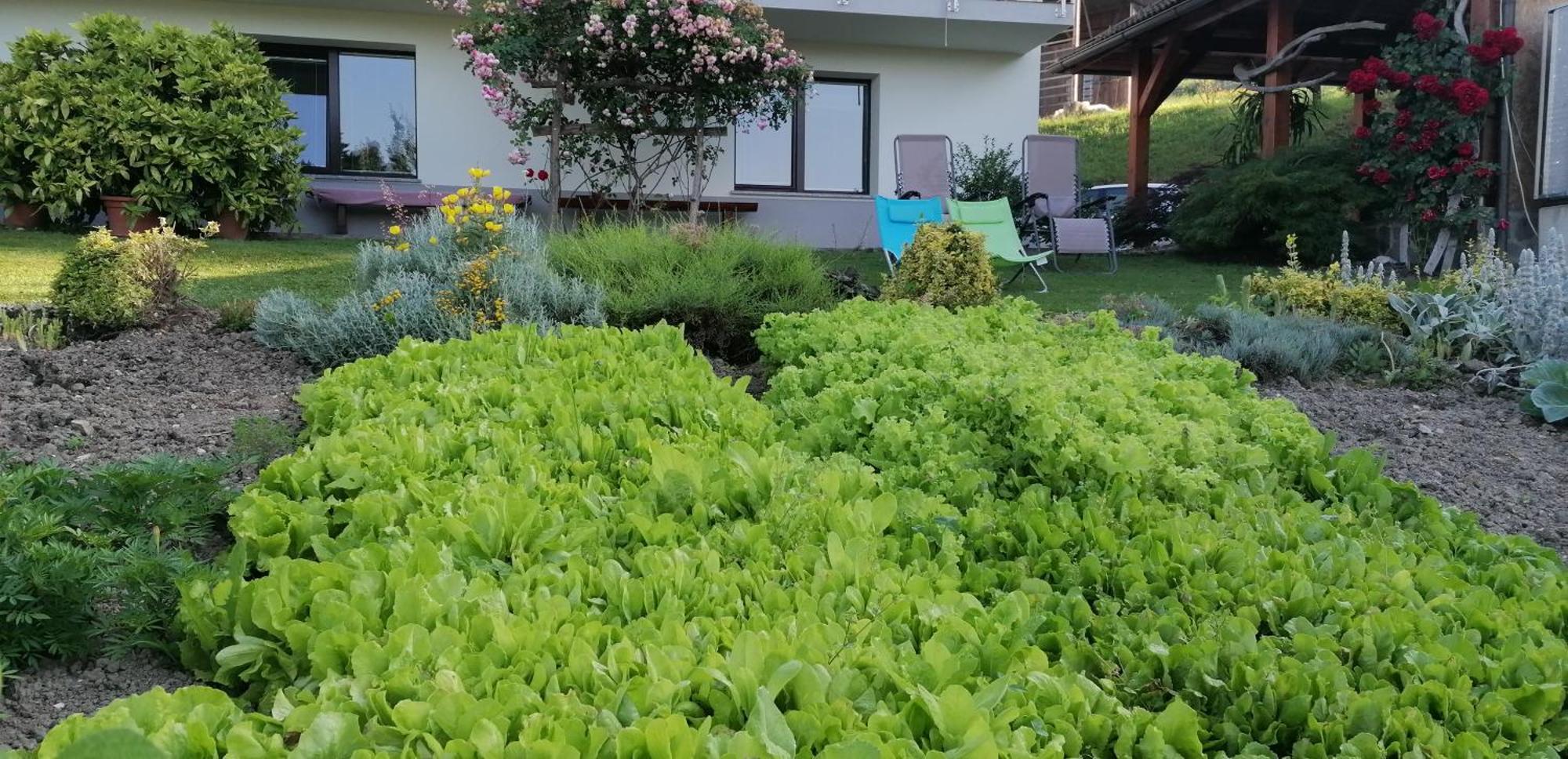 Apartma Na Ravnicah Cerkno Bagian luar foto