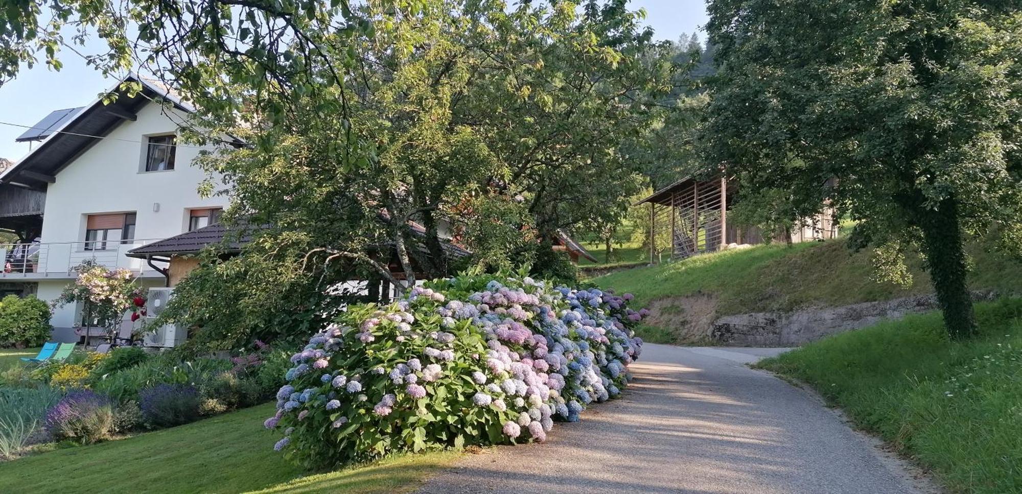 Apartma Na Ravnicah Cerkno Bagian luar foto