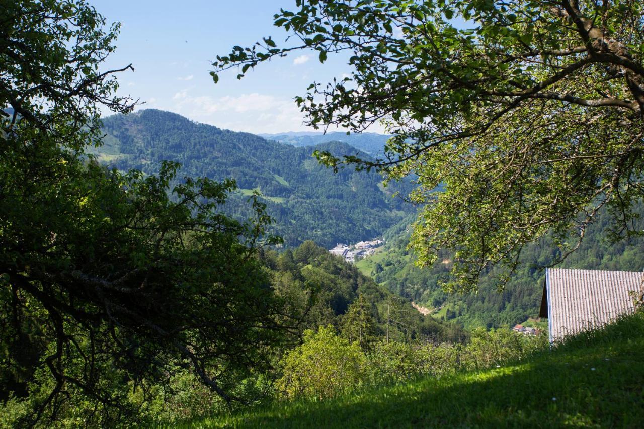 Apartma Na Ravnicah Cerkno Bagian luar foto